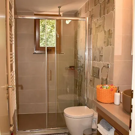 Βίλα Platanus House Meskla