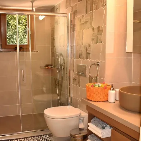 Βίλα Platanus House Meskla