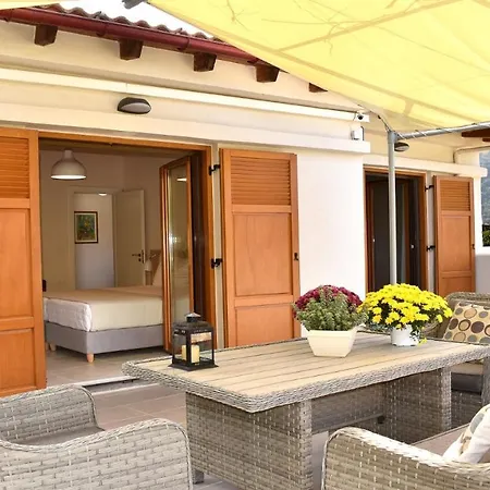 Platanus House Meskla